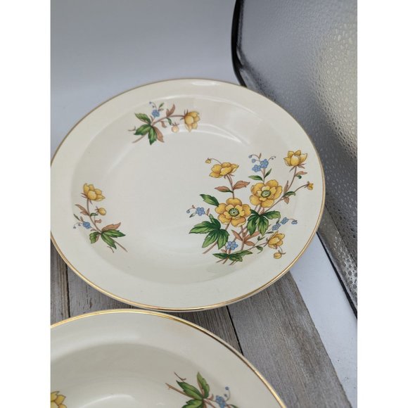 Vintage Set Taylor Smith Taylor Soup Cereal Bowl 7 3/4" Yellow Buttercups TST237 - Picture 5 of 8
